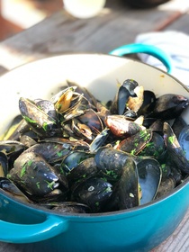 Mussels with Saffron Cream